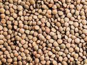 Lentejas 6mm 500 gr