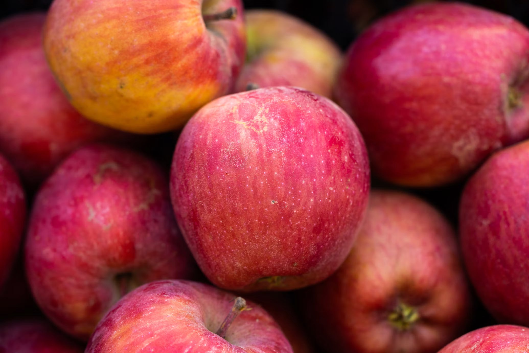 Manzana Pink Lady