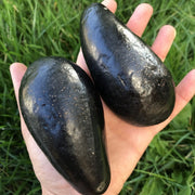 Palta Negra de la Cruz Unidad