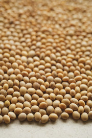Poroto Canario 500 gr