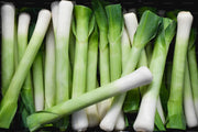 Puerro unid