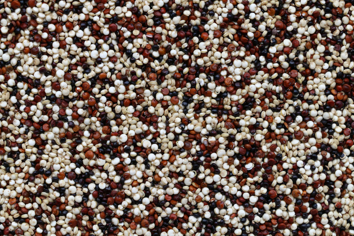 Quinoa Mix 500 gr.