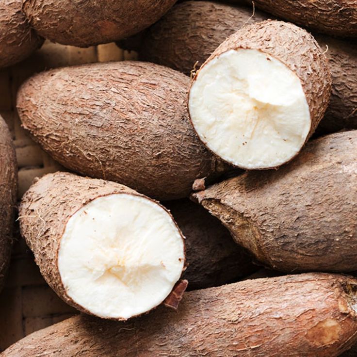 Yuca unid