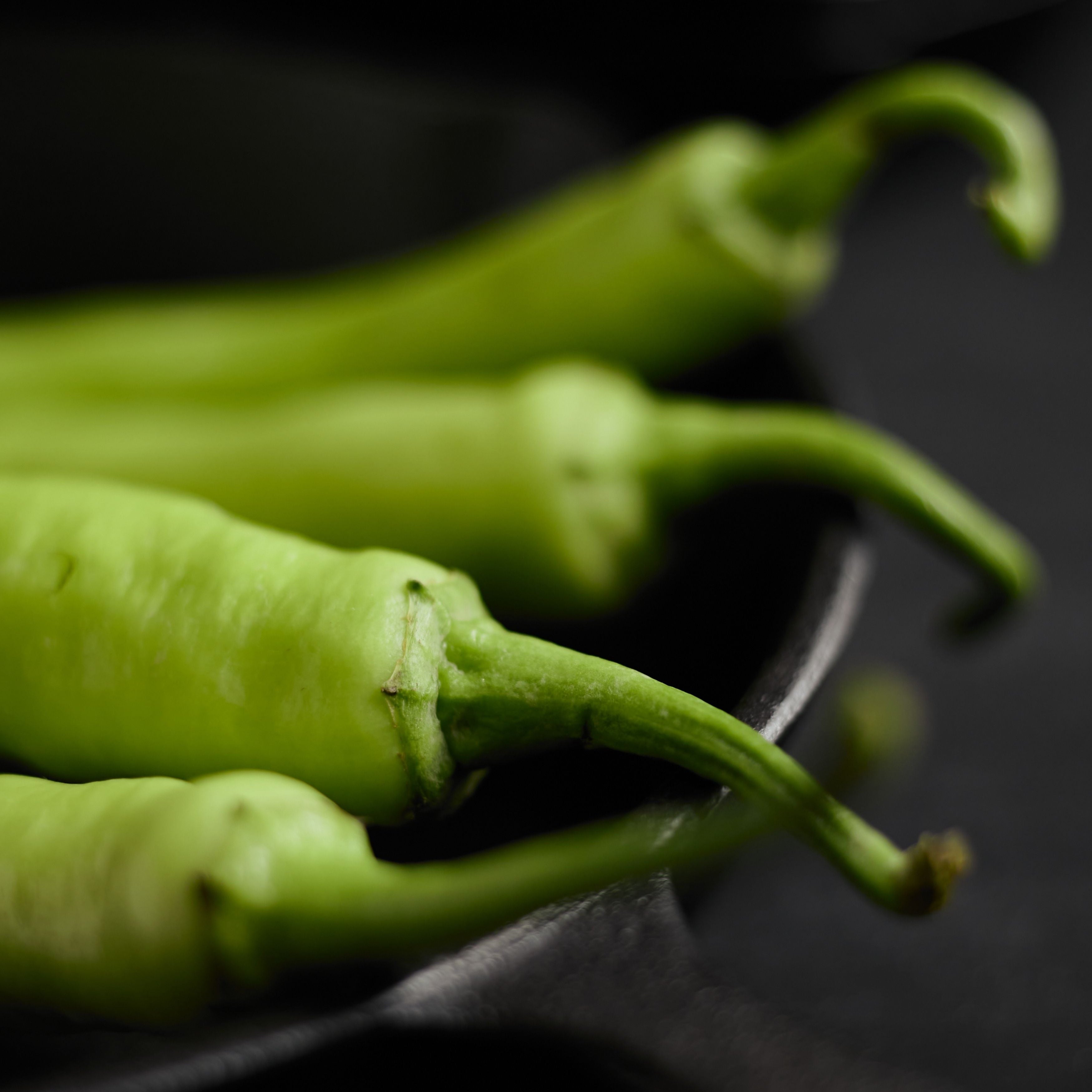 aji americano kg