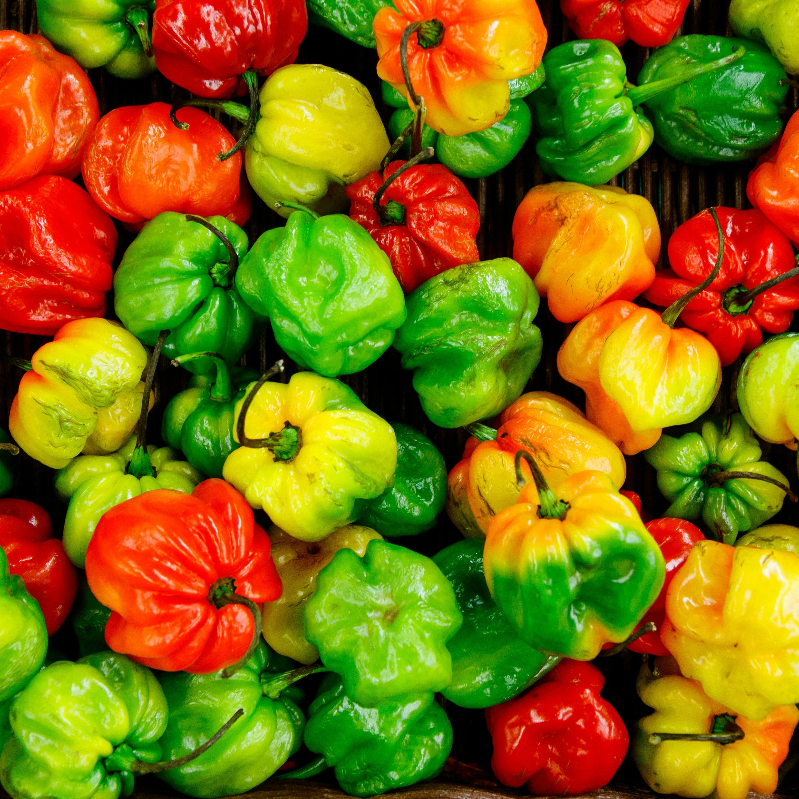 Ají habanero