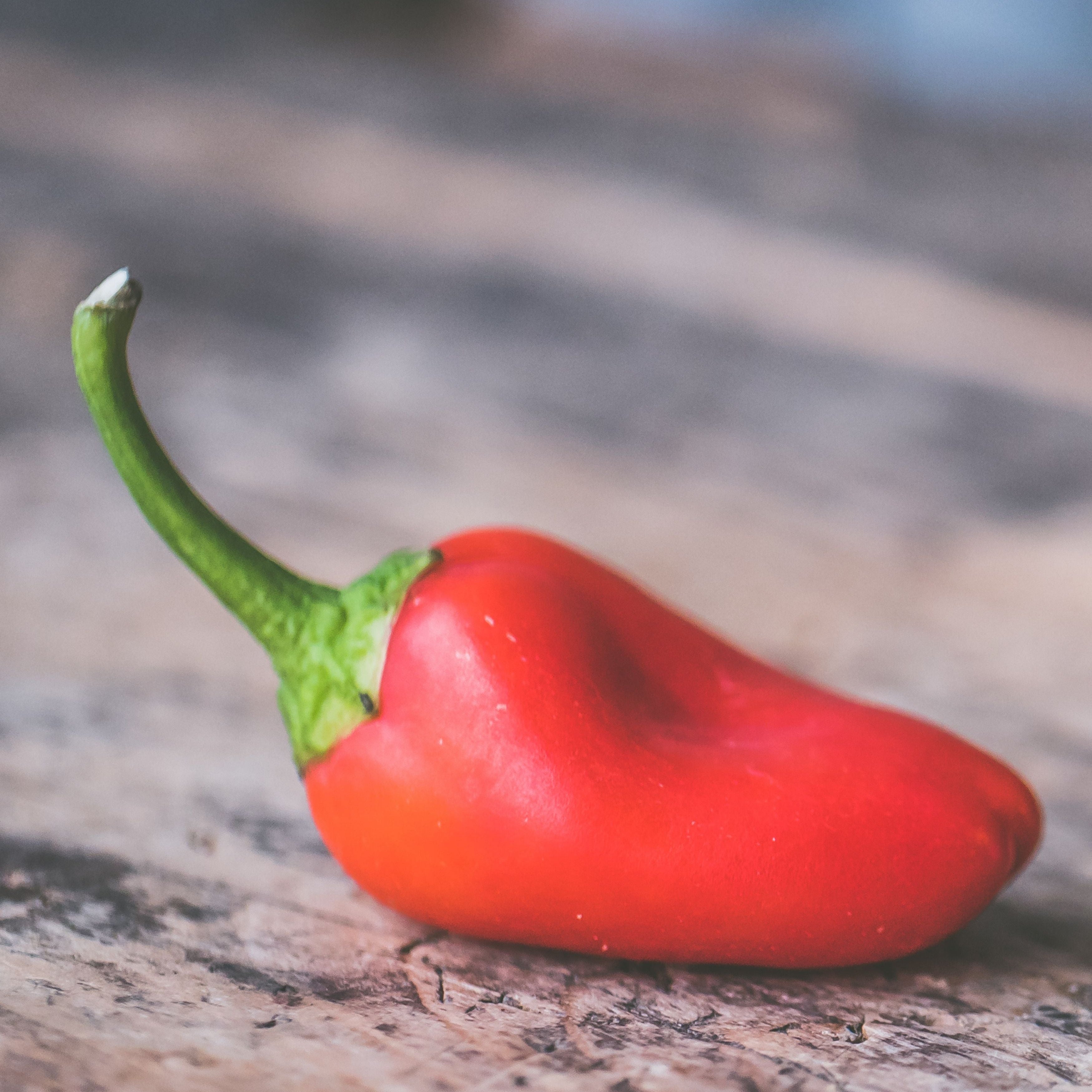 aji puta madre kilo