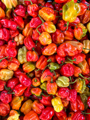 Ají Habanero unid