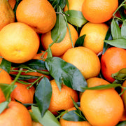 Clementinas