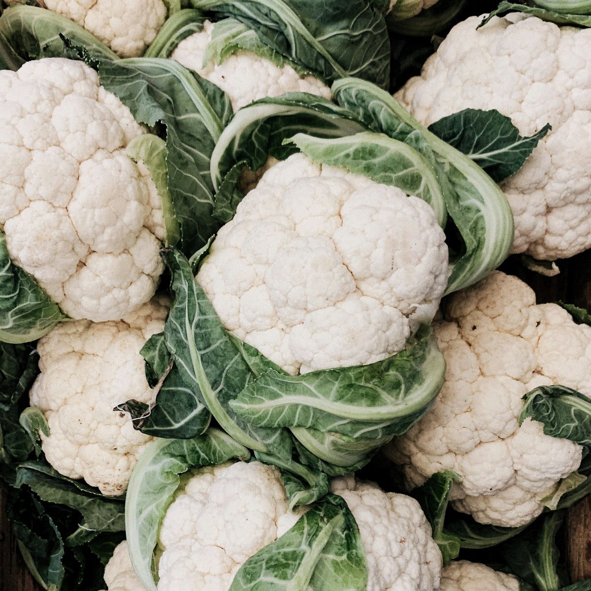 Coliflor