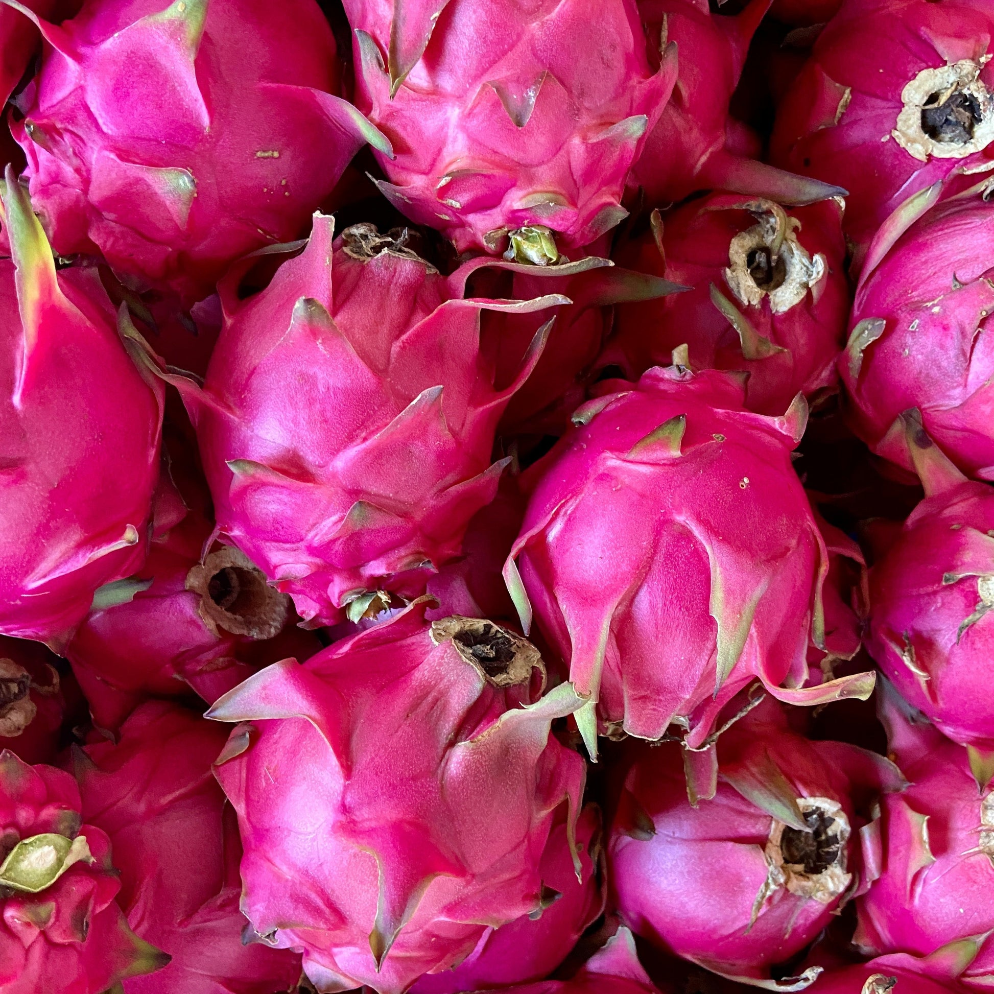 Fruta del dragón por unidad