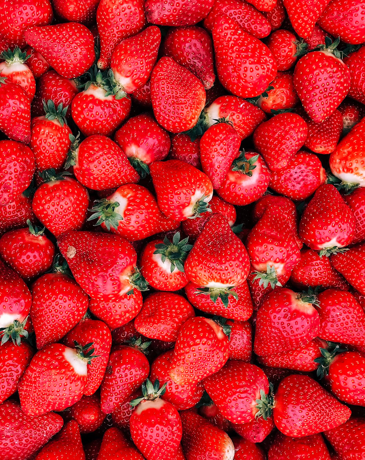 Frutilla Kg.