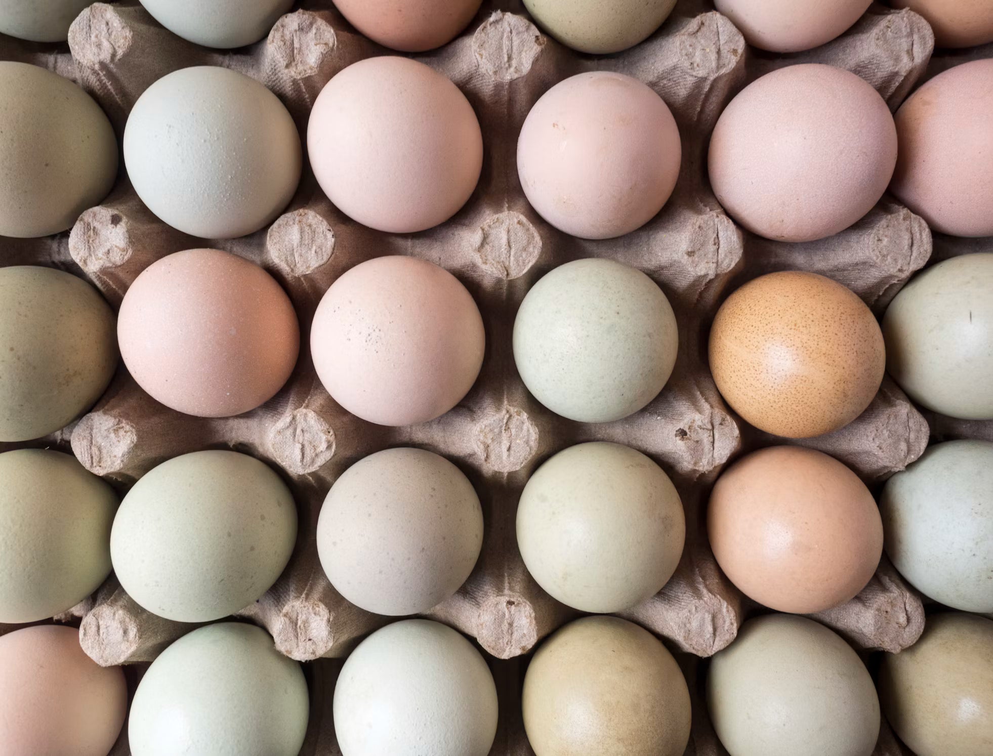 Huevos Collonca