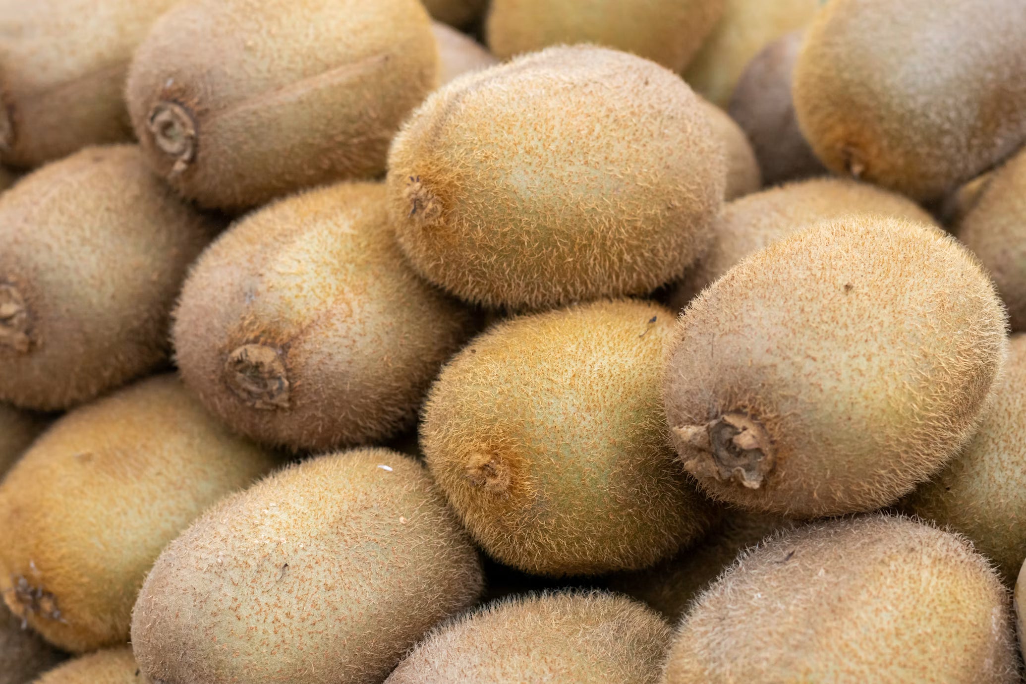 Kiwi / kg