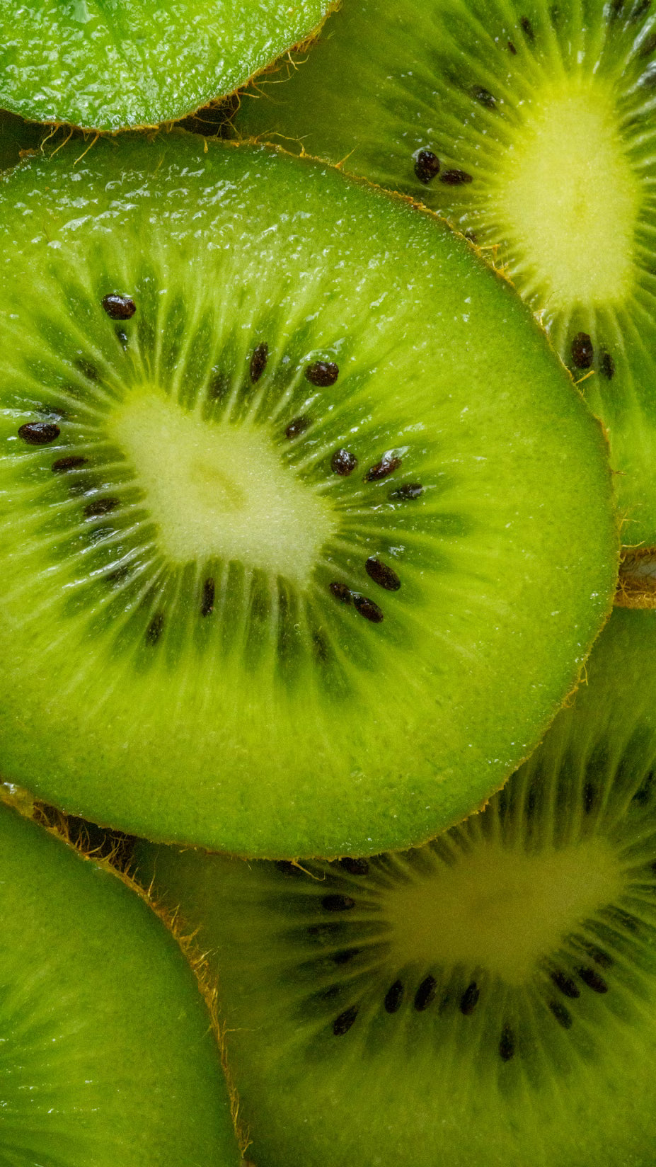 Kiwi / kg