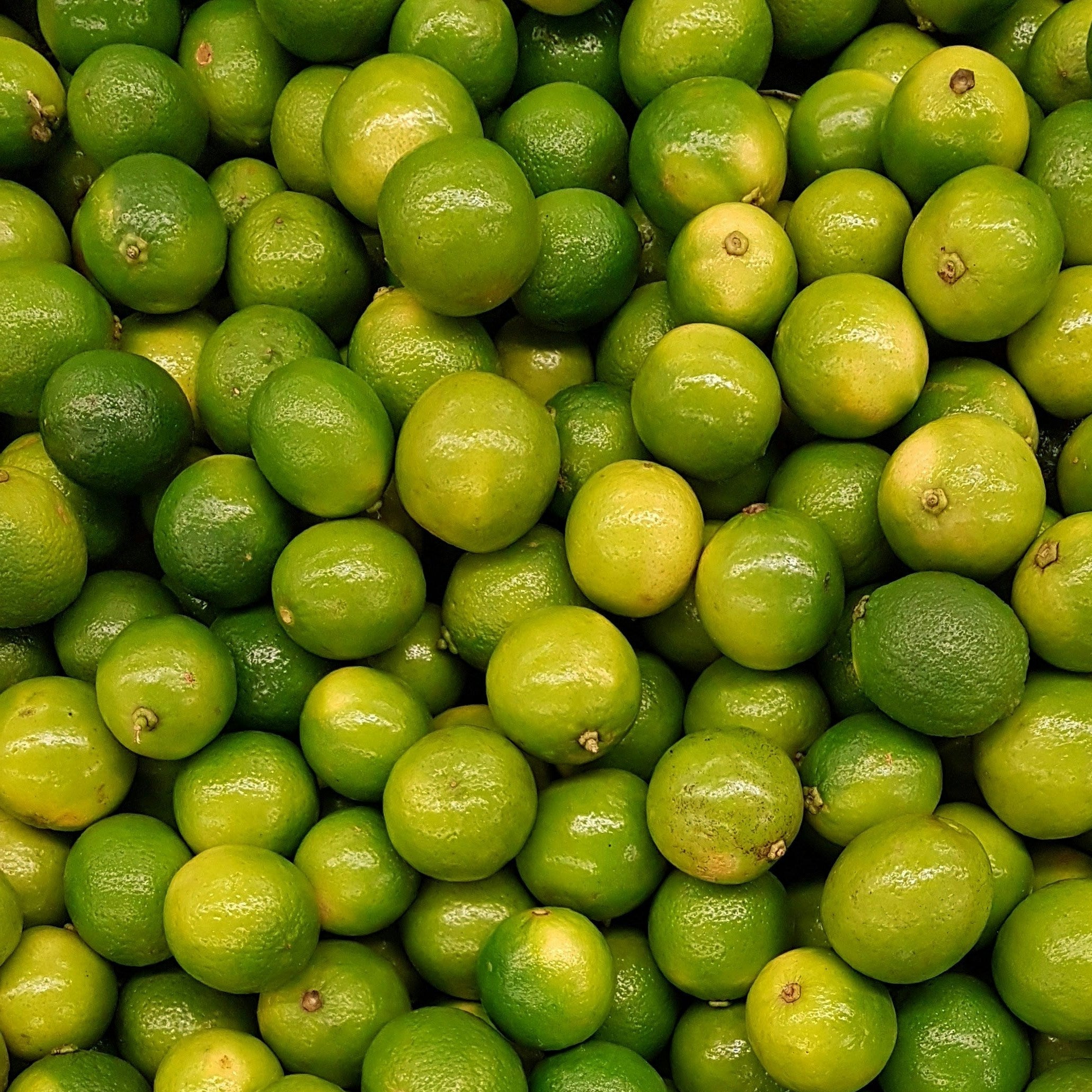 Limon sutil