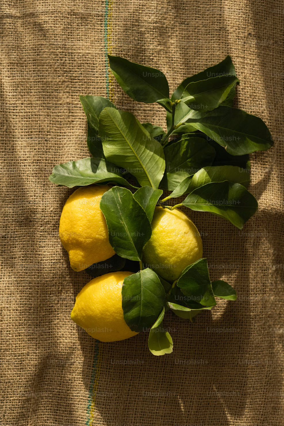 Limón