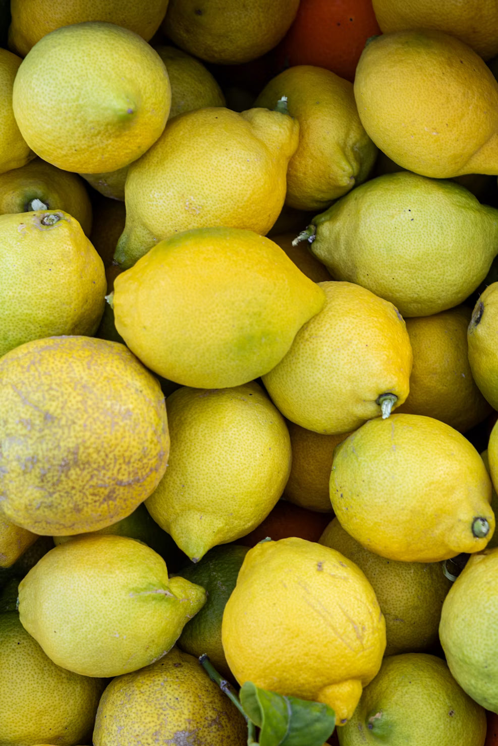 Limón