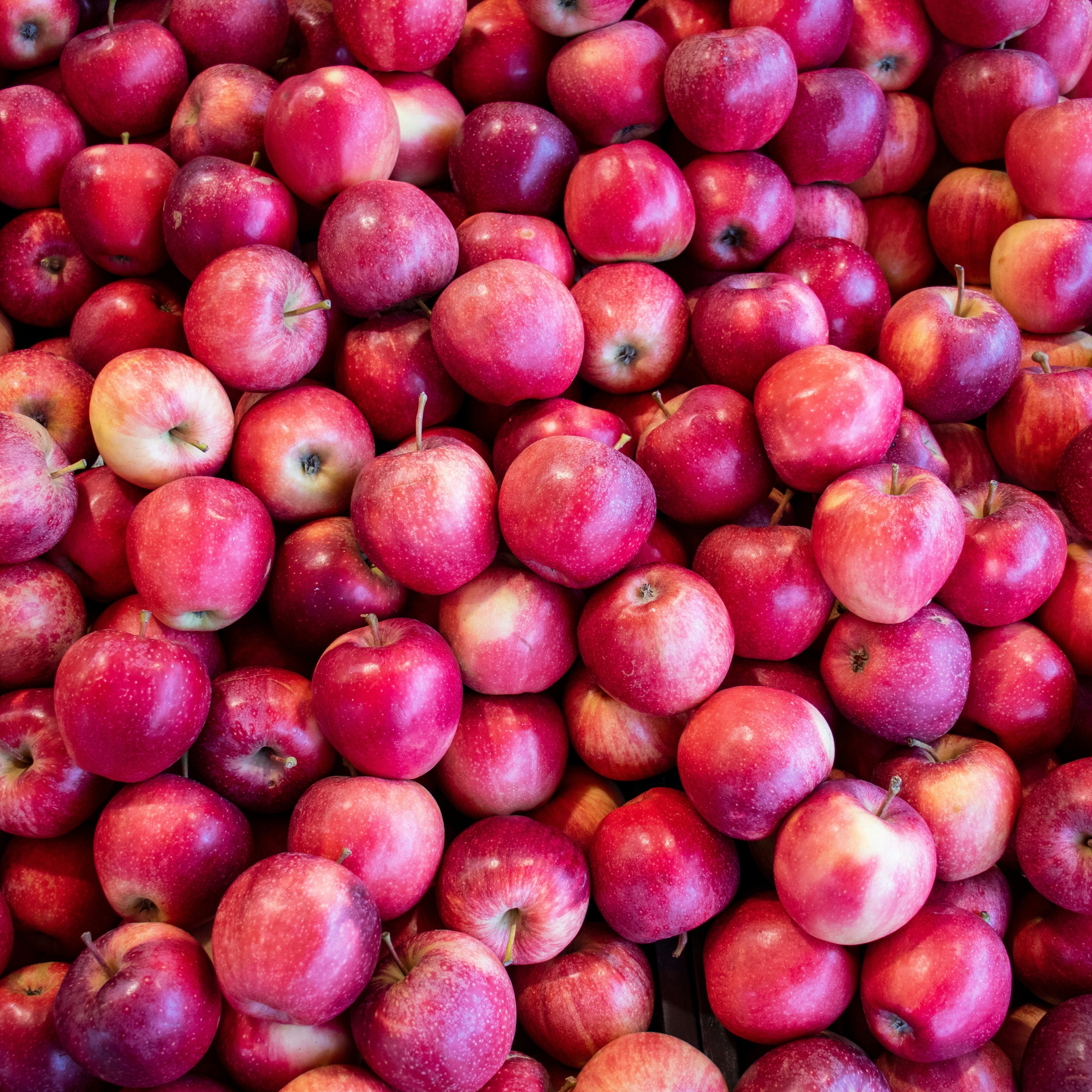 Manzana royal