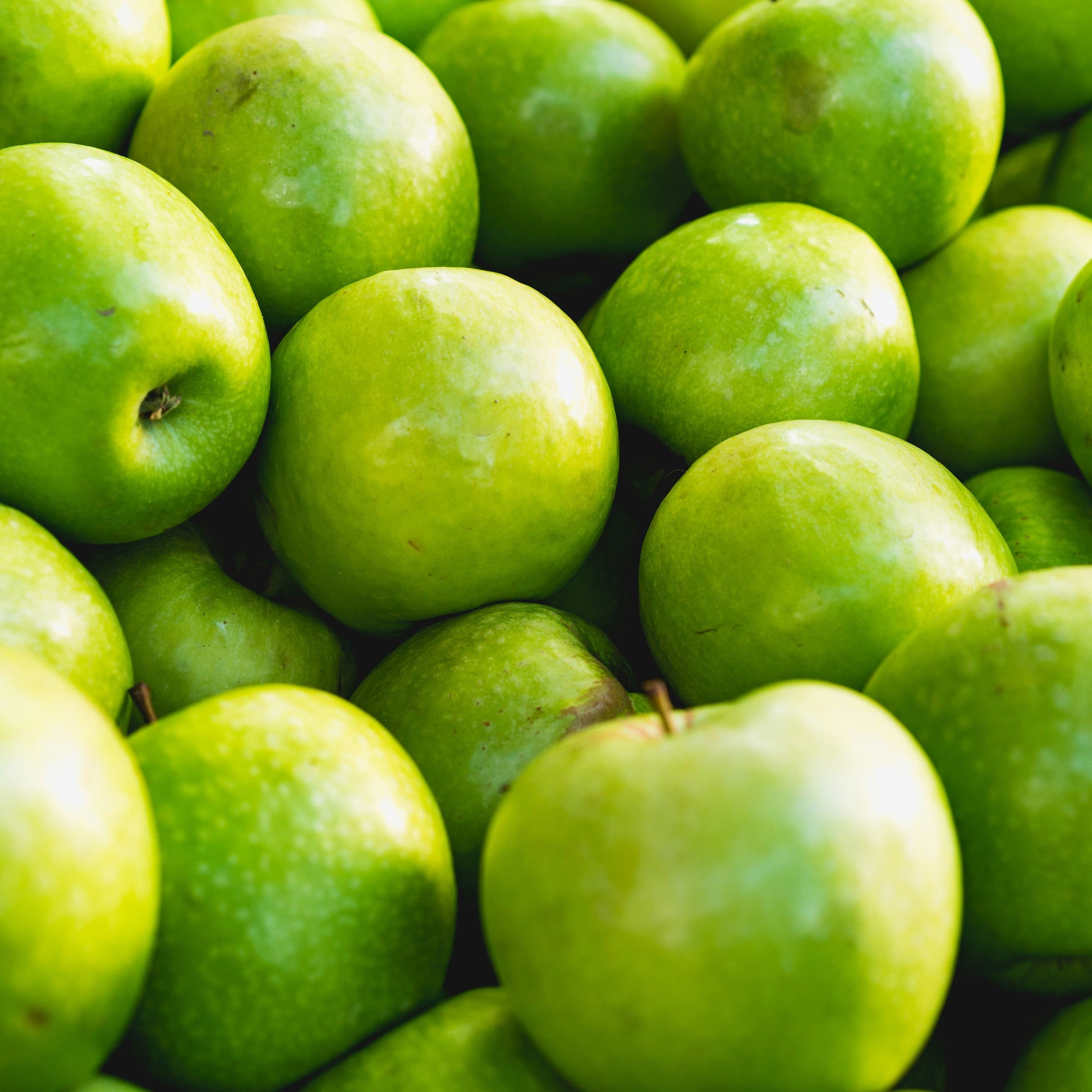 manazna verde