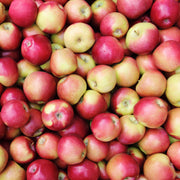 Manzana Honey Crisp