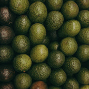 Palta Hass