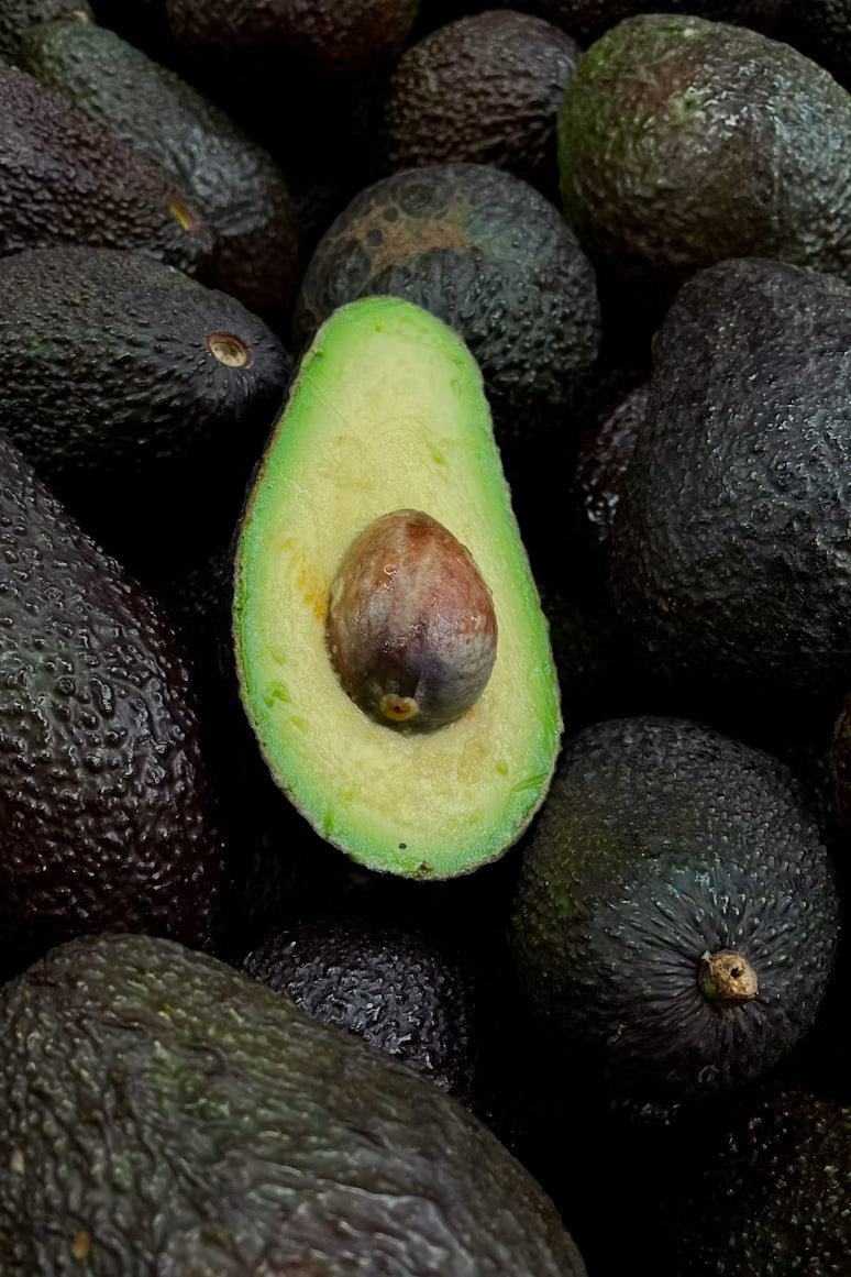 Palta Hass Chilena Nueva un