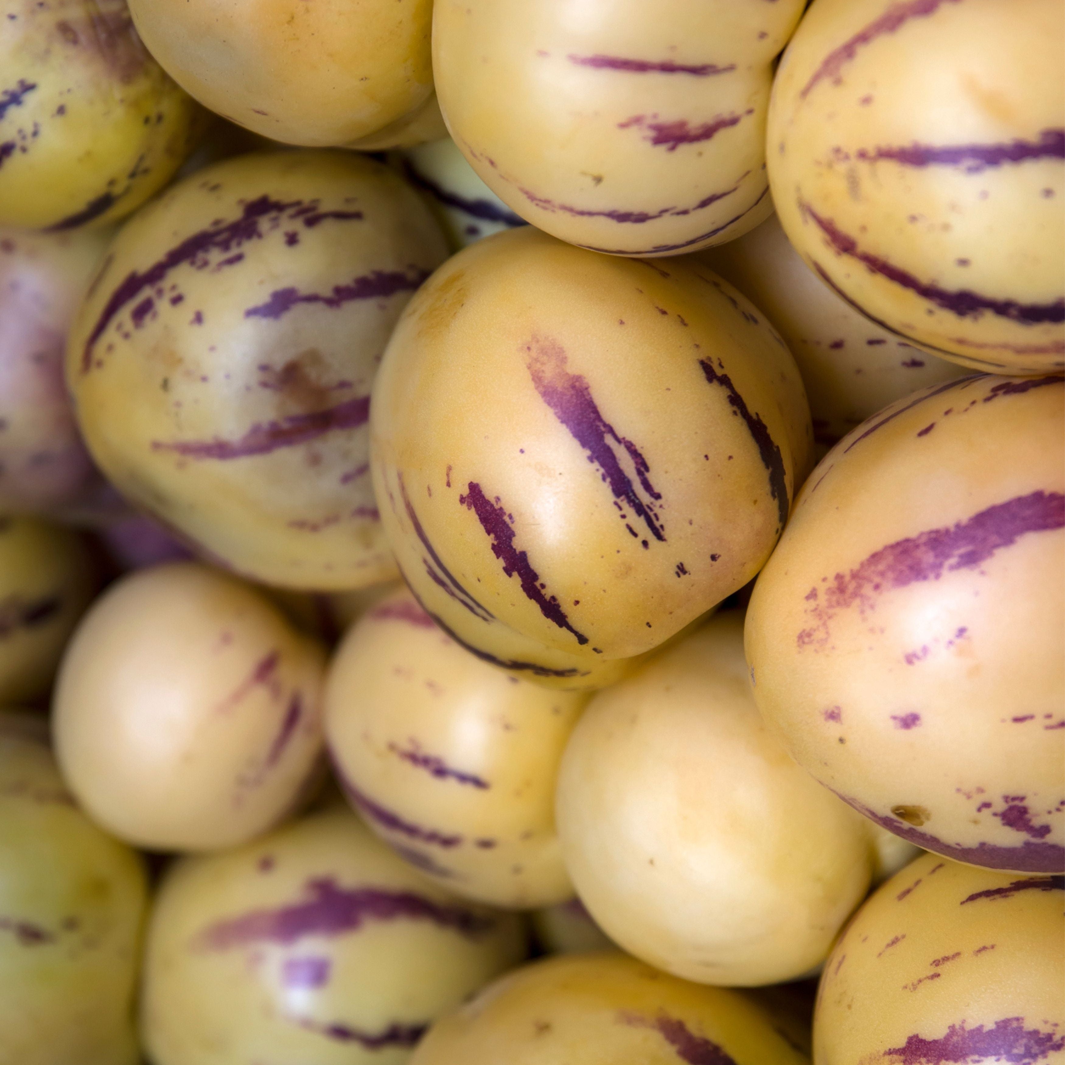 pepino dulce