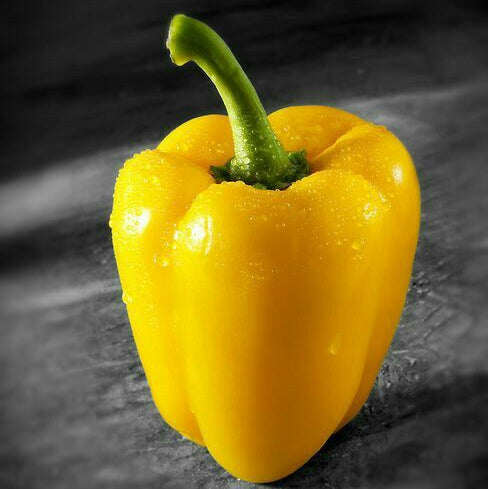 pimenton amarillo