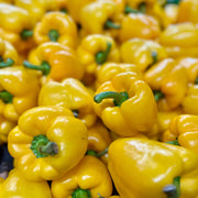 pimenton amarillo