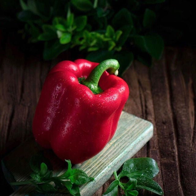 pimenton rojo