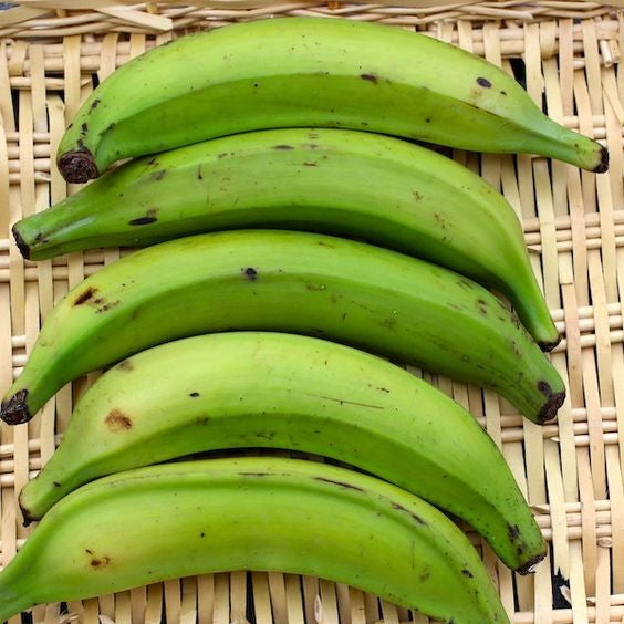 platano berragante verde