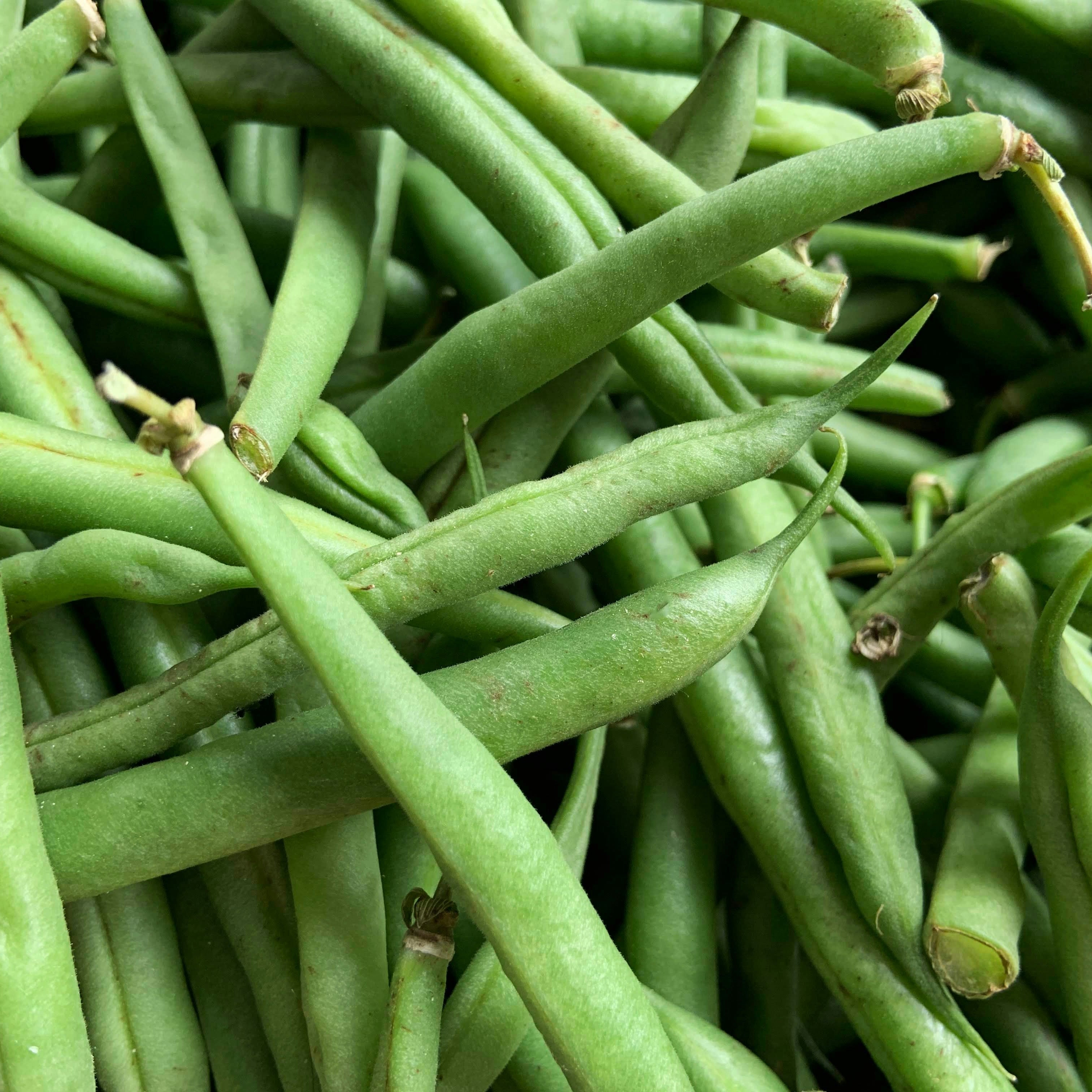 Poroto verde vaina