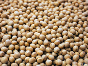 Poroto Soya 333 gr