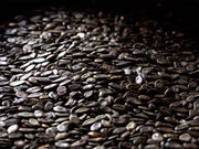 Sésamo Negro 30 gr