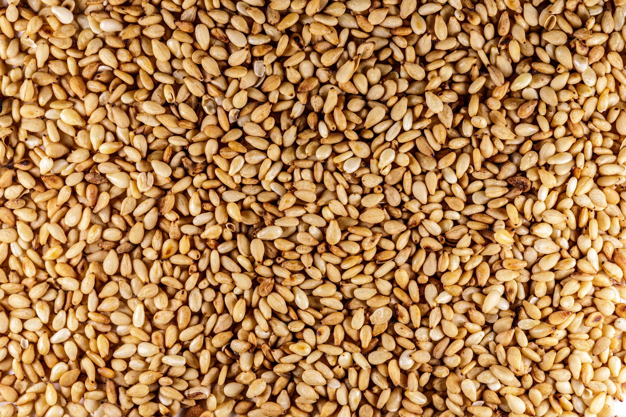 Sésamo Tostado 30 gr