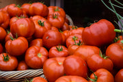 Tomate Zapato