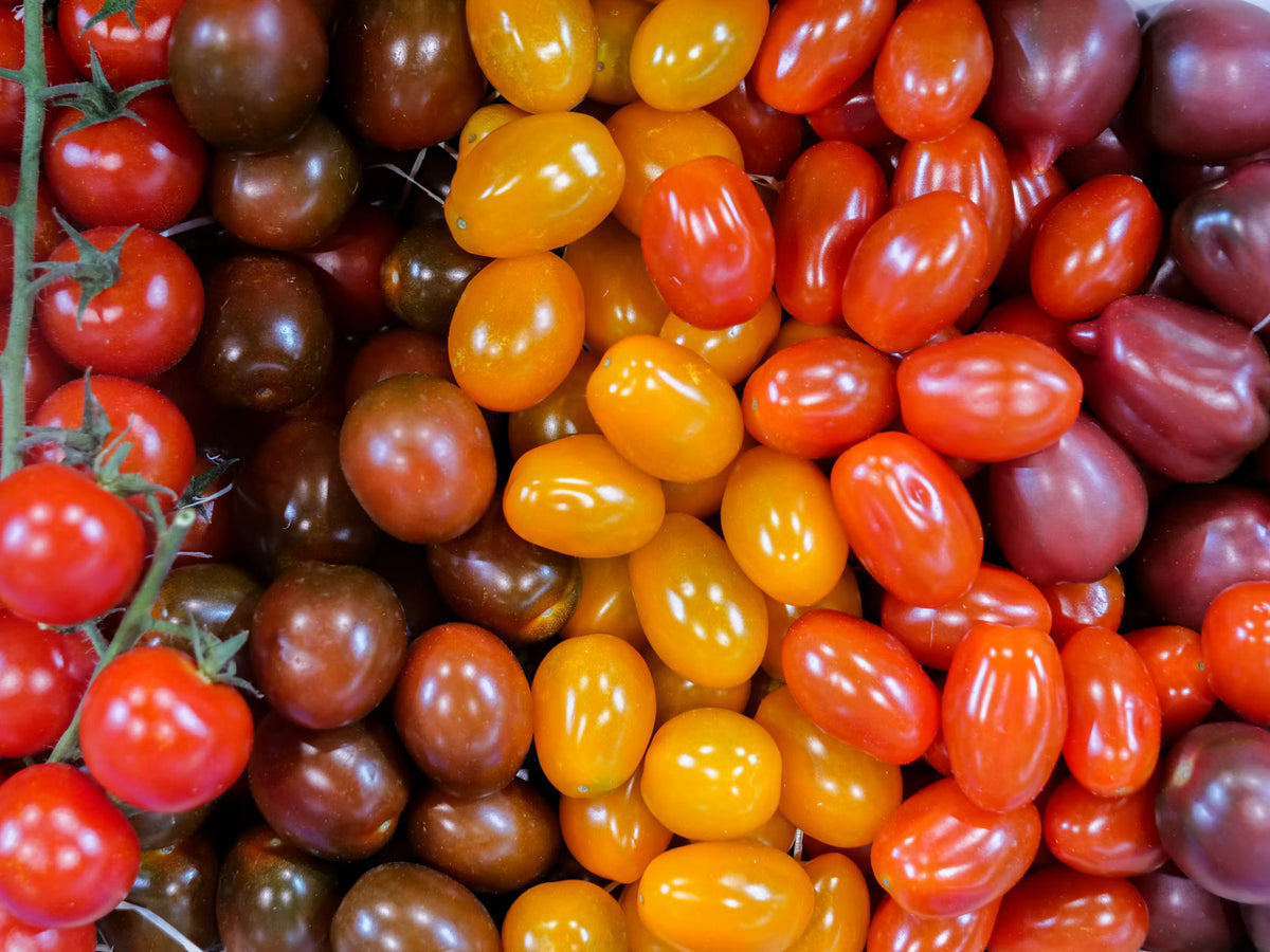 Tomate Cherry Mix Kg.