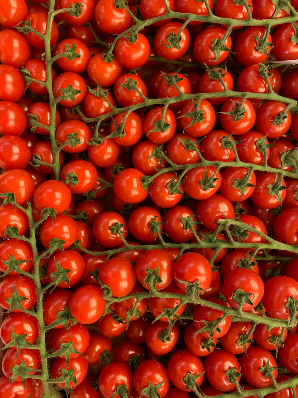 Tomates