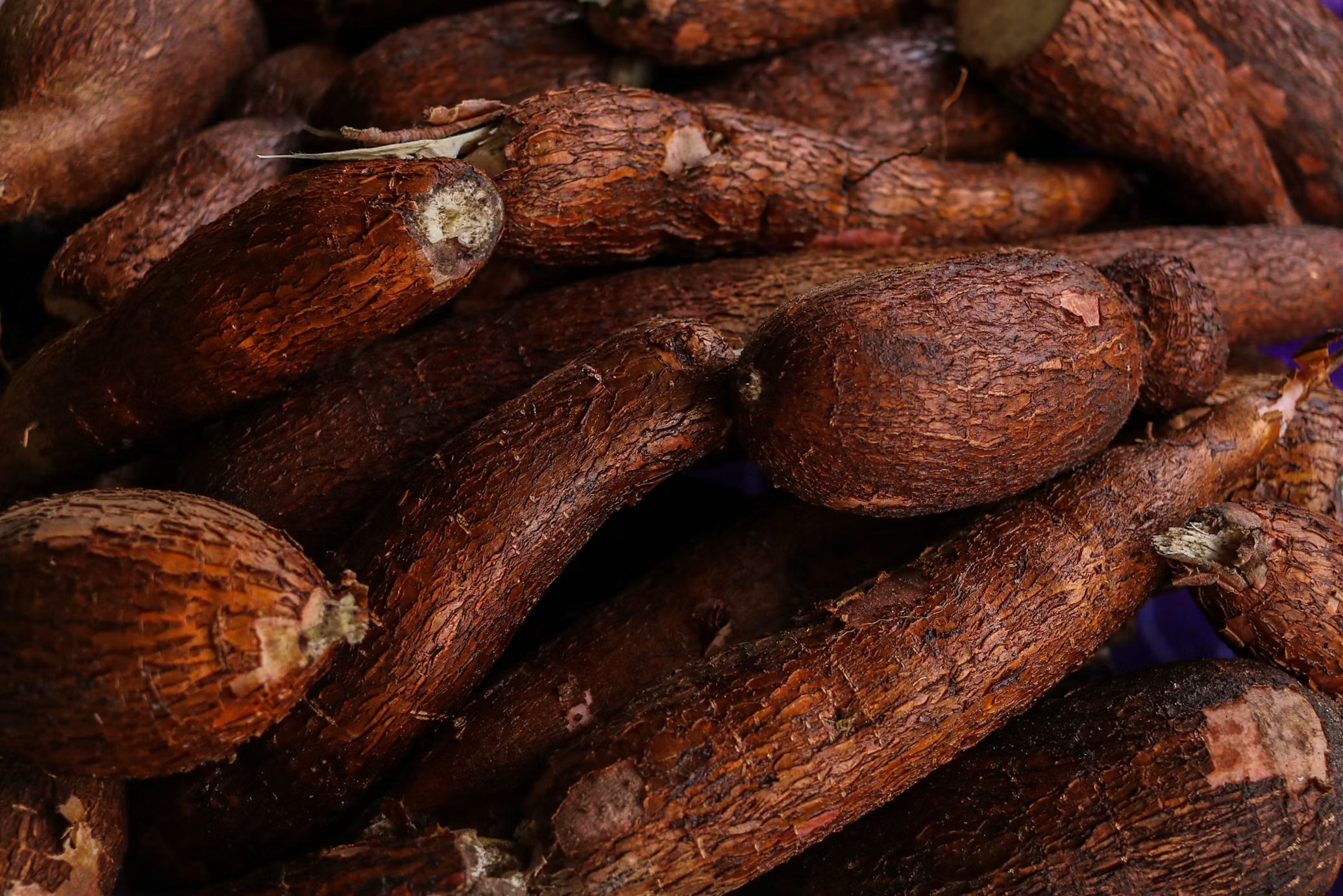 Yuca unid