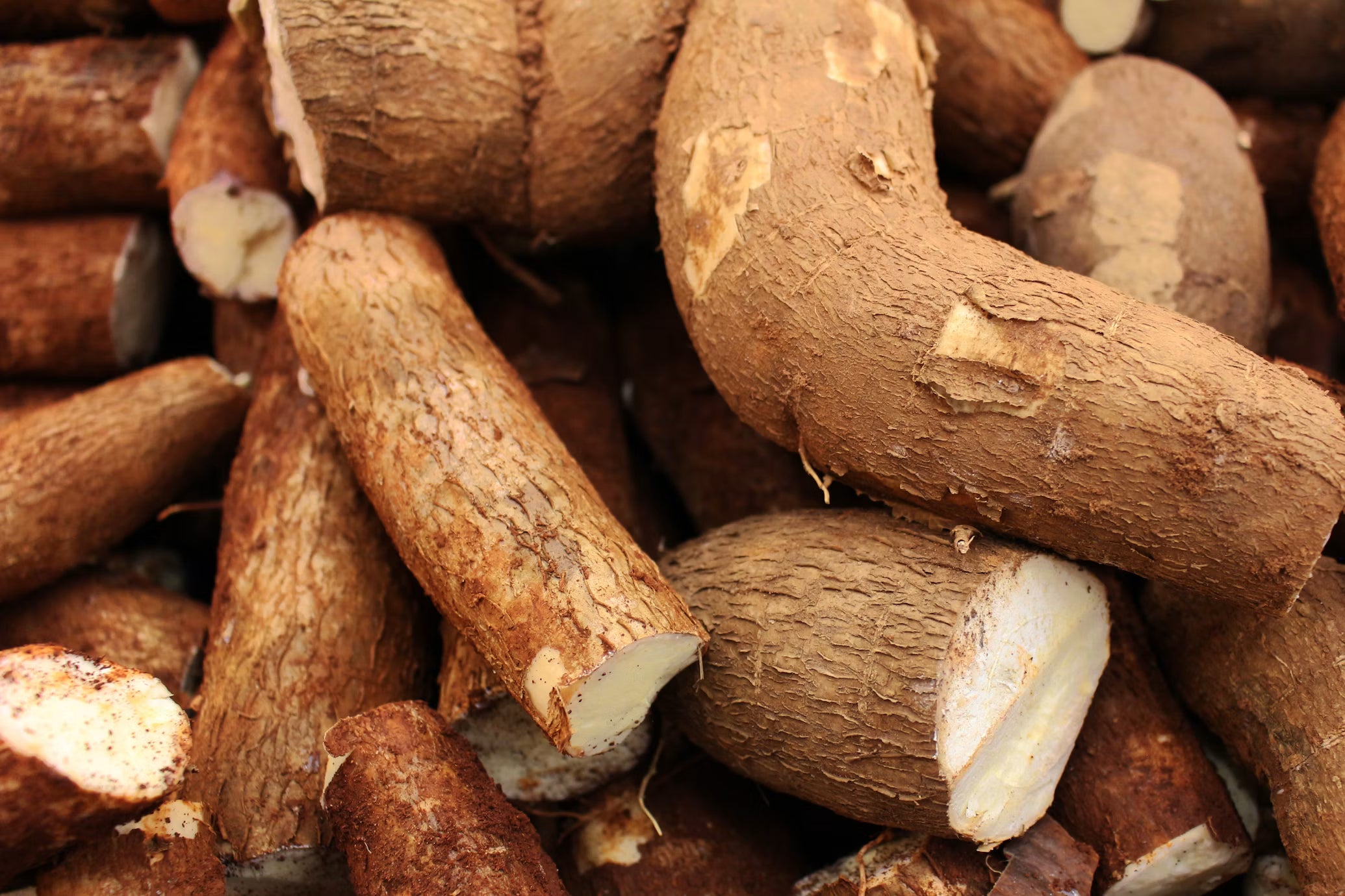 Yuca unid