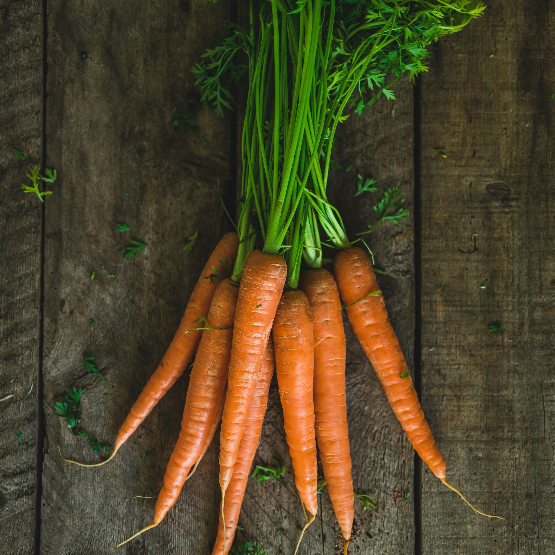 zanahorias