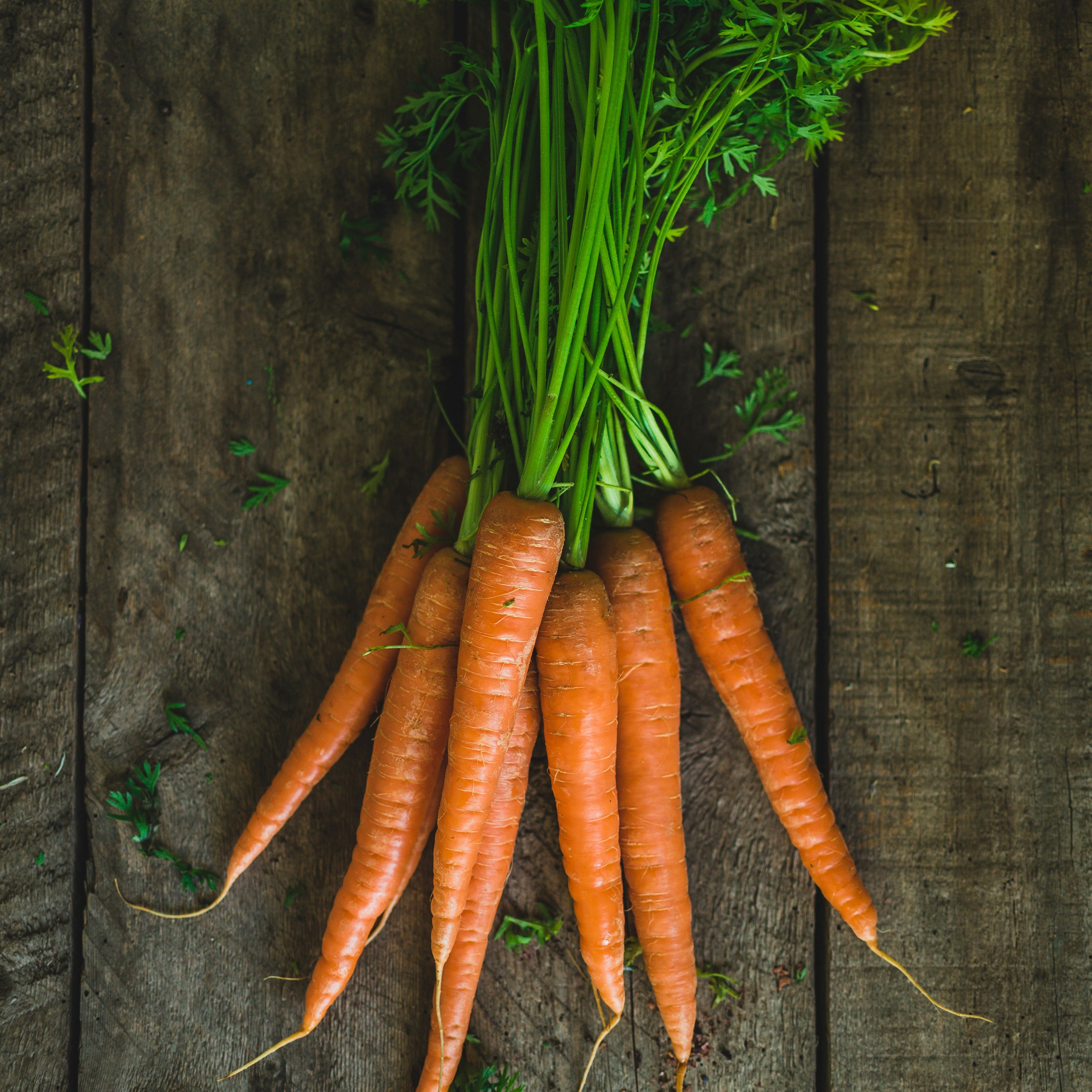zanahorias